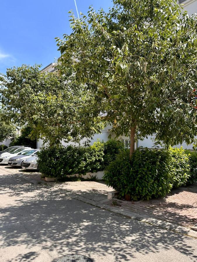Apartment Tranquilo 斯普利特 外观 照片